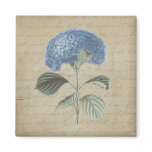 Vintage Blue Hydrangea with Antique Calligraphy Magnets