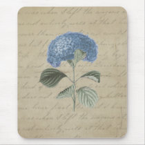 Vintage Blue Hydrangea with Antique Calligraphy Mousepads