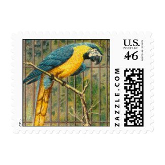 Vintage Blue Macaw Parrot Print Stamps