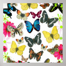 Vintage Blue Red Yellow Colorful Butterflies Posters