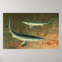 Vintage Blue Sharks Posters