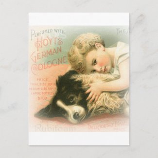 Vintage Border Collie
                                                Postcard