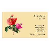 Vintage botanical art red, pink rose flowers business card template