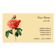 Vintage botanical art red rose flower yellow business card template