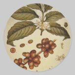 Vintage Botanical Coffee Picture stickers