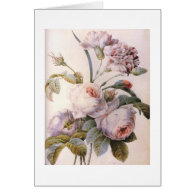 vintage botanical illustration, pink rose cards