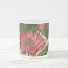 Vintage Botanical Print Pink Water Lily Lotus Coffee Mug