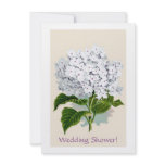 Vintage Botanicals Illustrations Custom Invites