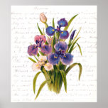 Vintage Bouquet of Lilacs - Text by Clara Balfour posters