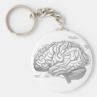 Vintage Brain Anatomy Key Chains