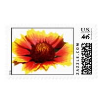 Vintage Brigthness stamps