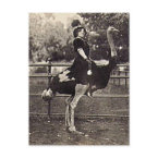 Vintage Broadway Actress Riding an Ostrich postcard