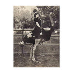 Vintage Broadway Actress Riding an Ostrich postcard