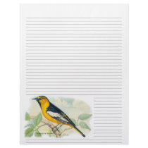 Vintage Bullock's Oriole Lined Letterhead