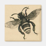 Vintage busy bee fridge magnets