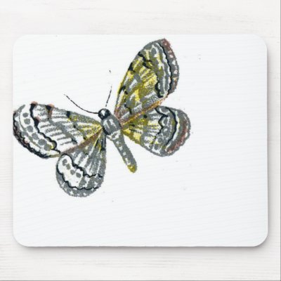 Butterfly drawing plate print