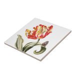 Vintage Butterfly Garden Watercolor Flowers Art Tile