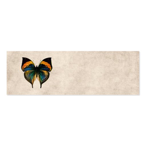 Vintage Butterfly Illustration 1800's Butterflies Business Card Templates (front side)