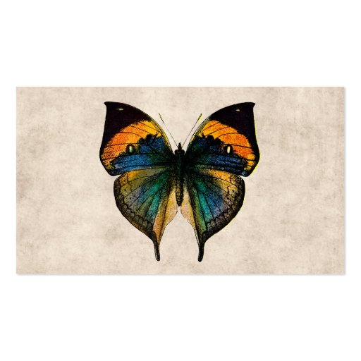 Vintage Butterfly Illustration 1800's Butterflies Business Card (front side)