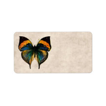 Vintage Butterfly Illustration 1800's Butterflies Personalized Address Label