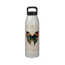 Vintage Butterfly Illustration 1800's Butterflies Water Bottles