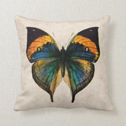 Vintage Butterfly Illustration - Butterflies Pillow
