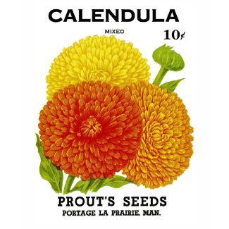 Vintage Calendula Seed Packet shirt