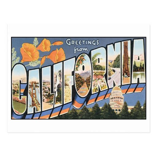 Vintage California Postcard | Zazzle