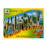 Vintage California Postcard