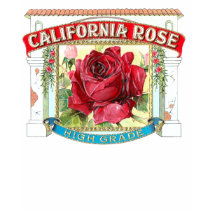 Vintage California Rose Floral