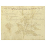 Vintage Calling Card Stationery letterhead
