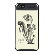 Vintage Carnivorous Pitcher Plant Floral Art iPhone 5 Cases