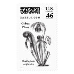 Vintage Carnivorous Plant Postage Stamps