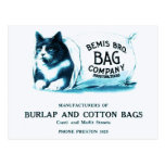 Vintage Cat in Bag Postcard