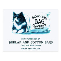 Vintage Cat in Bag Postcard postcards