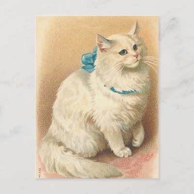 Vintage Postcards on Vintage Cat Postcards From Zazzle Com