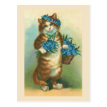 "Vintage Cat with Forget-me-nots" Postcard