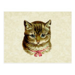 Vintage Cat with Pink Bow Postcard