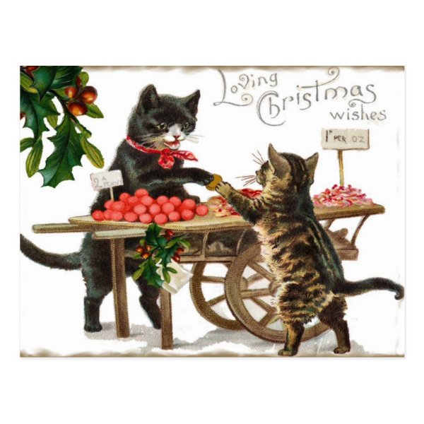 Vintage Cat's Loving Christmas Wishes Post Card