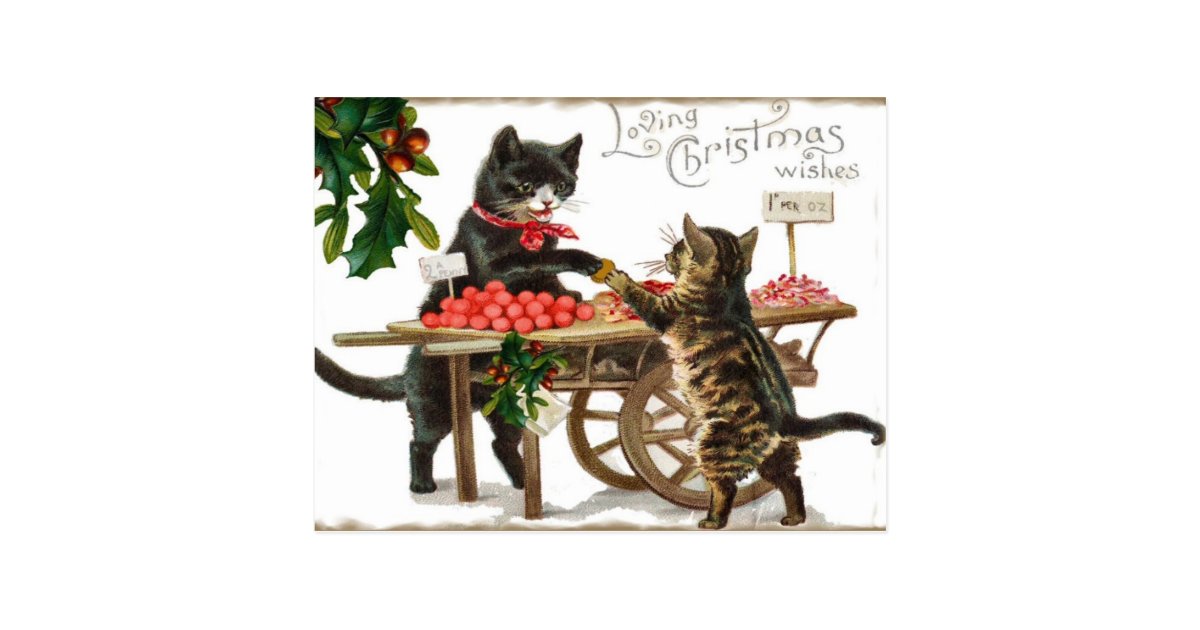 Vintage Cat's Loving Christmas Wishes Post Card | Zazzle