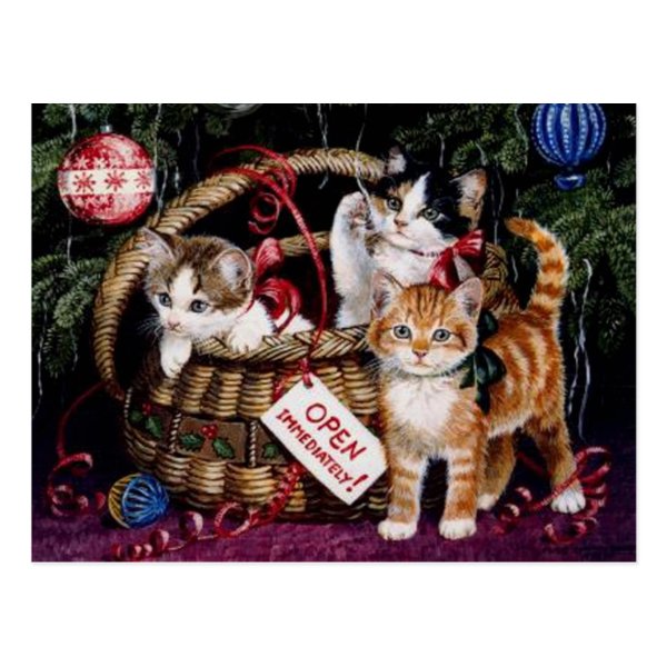 Vintage Cat's Merry Christmas Post Card
