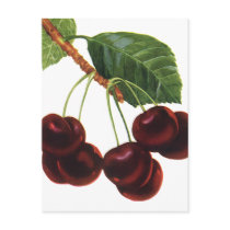 Vintage Cherries postcards by YesterdayCafe Vintage Cherries postcards