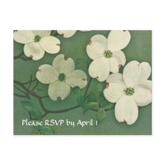 Vintage Cherry Blossom RSVP Postcard zazzle_postcard