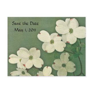 Vintage Cherry Blossom Save the Date postcard