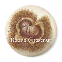 Vintage Chestnut Magnet by Customizables Vintage Chestnut Magnet