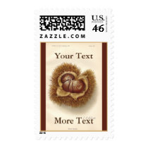 Vintage Chestnut Postage postage