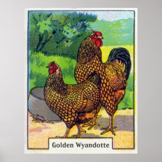 Vintage Chicken Print