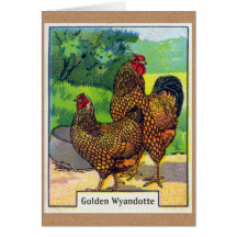 Vintage Chicken Print Cards