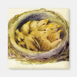 Vintage Chicks Magnet