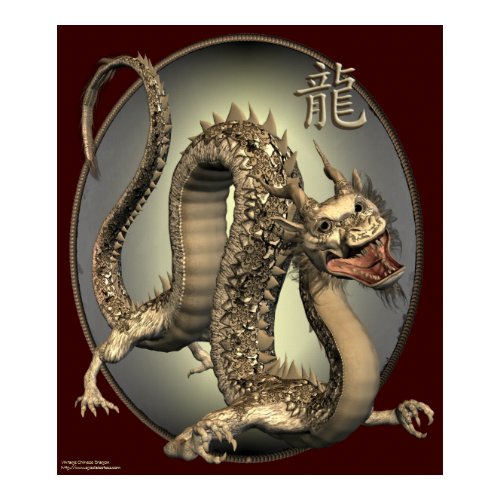 Vintage Chinese Dragon Print